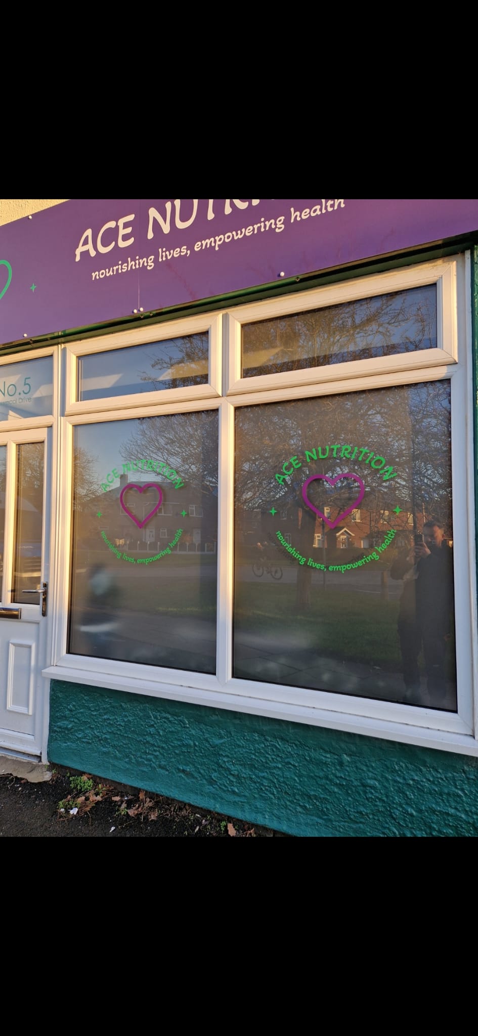 Printed window graphics by Total Sign Solutions